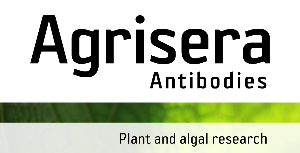 Agrisera MicroRNA相關(guān)研究植物蛋白抗體火熱促銷中！